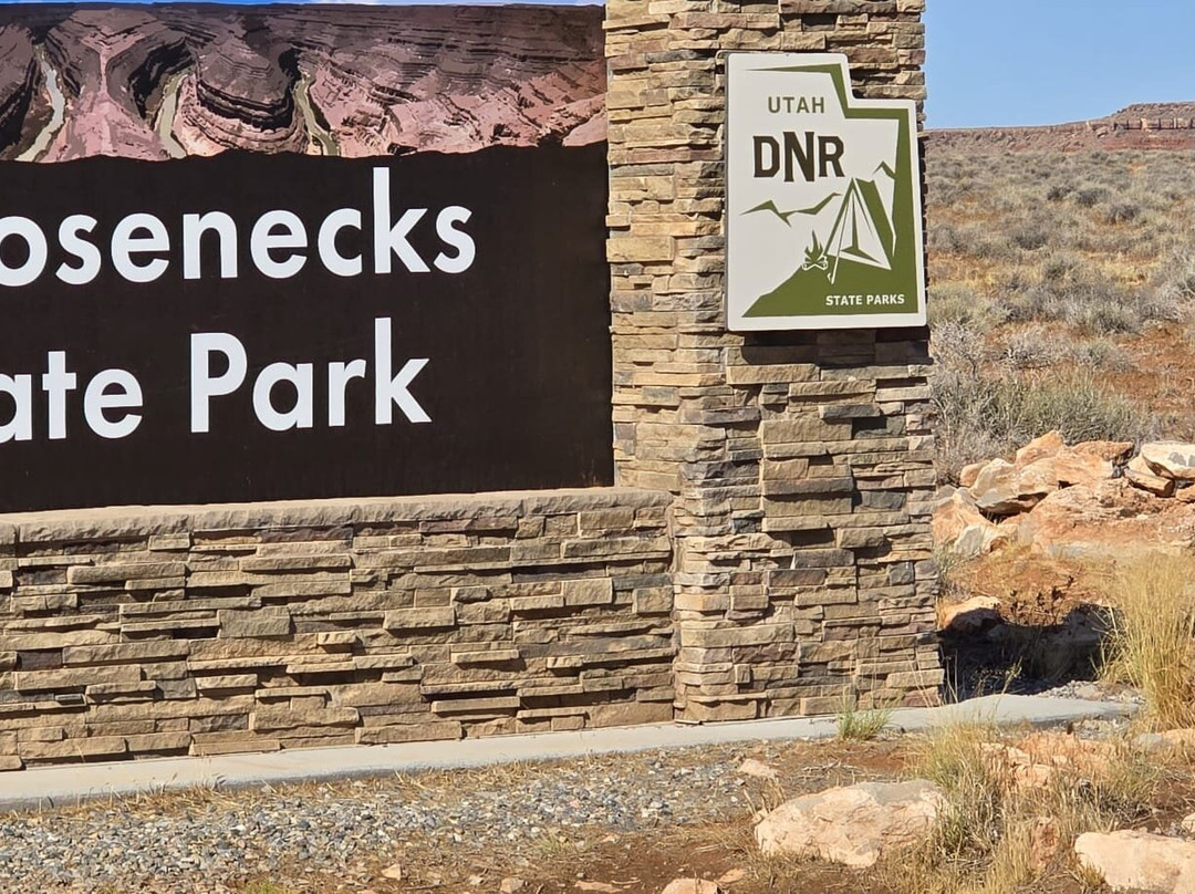 Goosenecks State Park-布兰丁必去景点