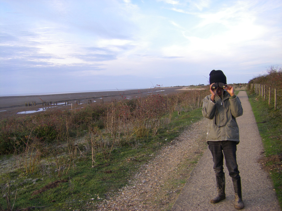 RSPB Snettisham-Snettisham必去景点