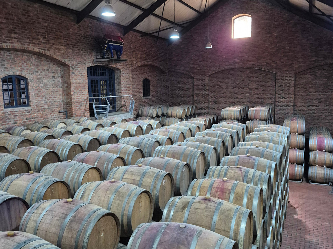 Saronsberg Cellar-塔尔巴赫必去景点