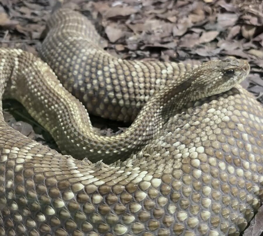 Parque Zoobotanico de Brusque-Brusque必去景点
