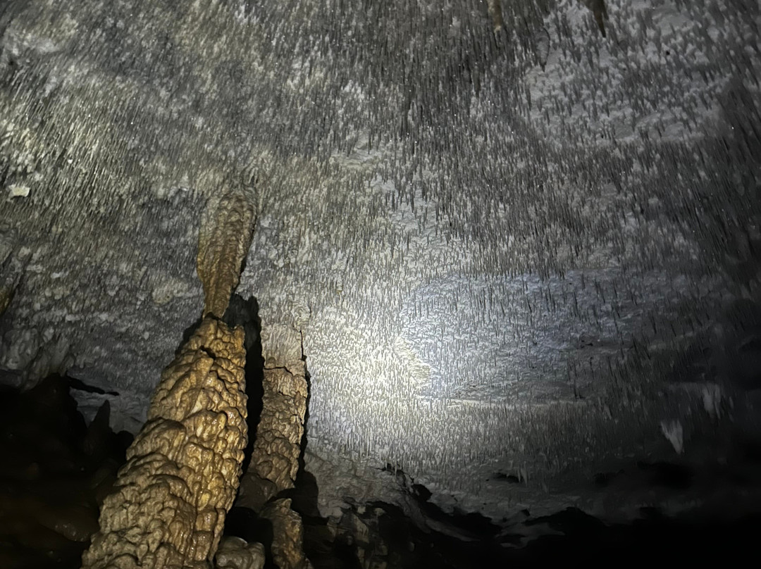Cueva De La Vaca Gua-iti-Curiti必去景点
