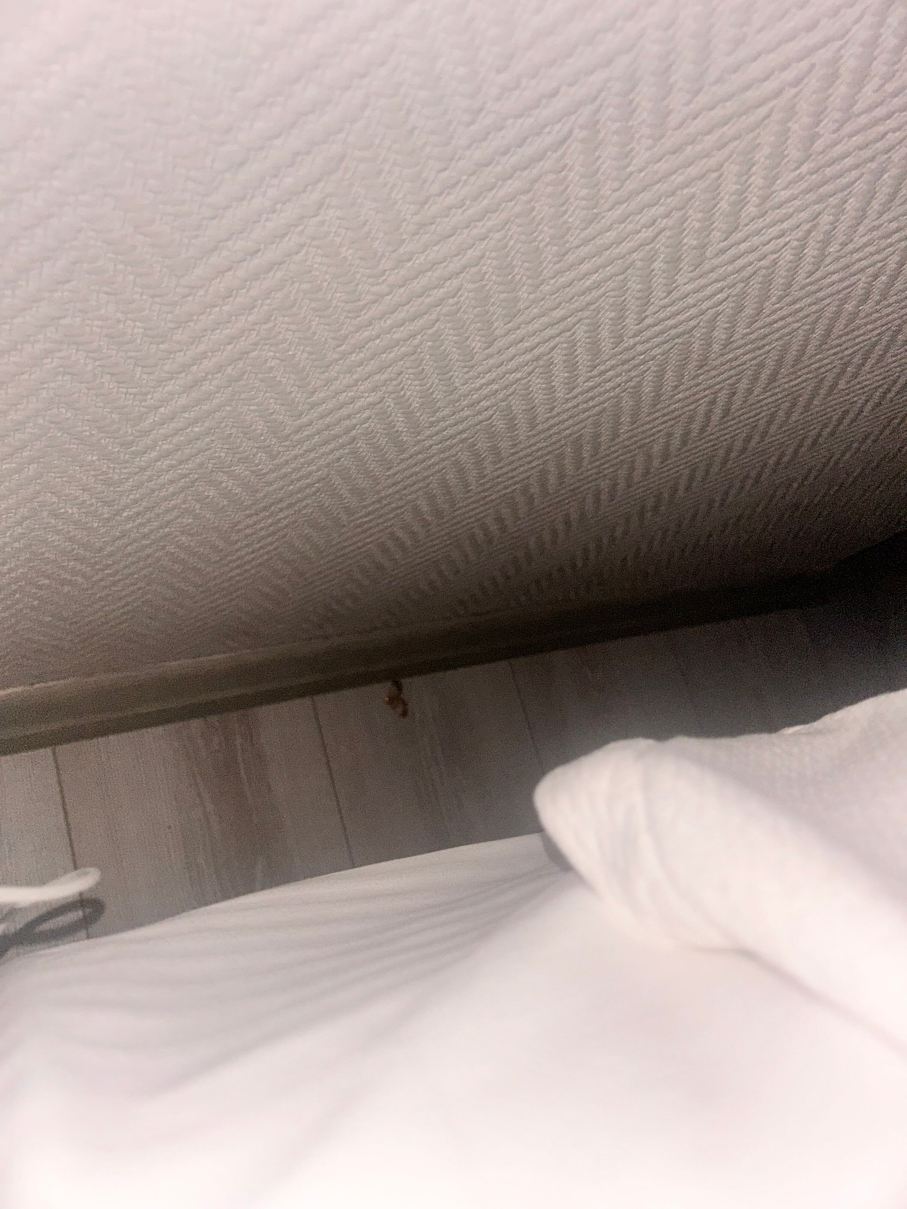 锡瓦斯苏尔坦谢希尔实验酒店-旅行者