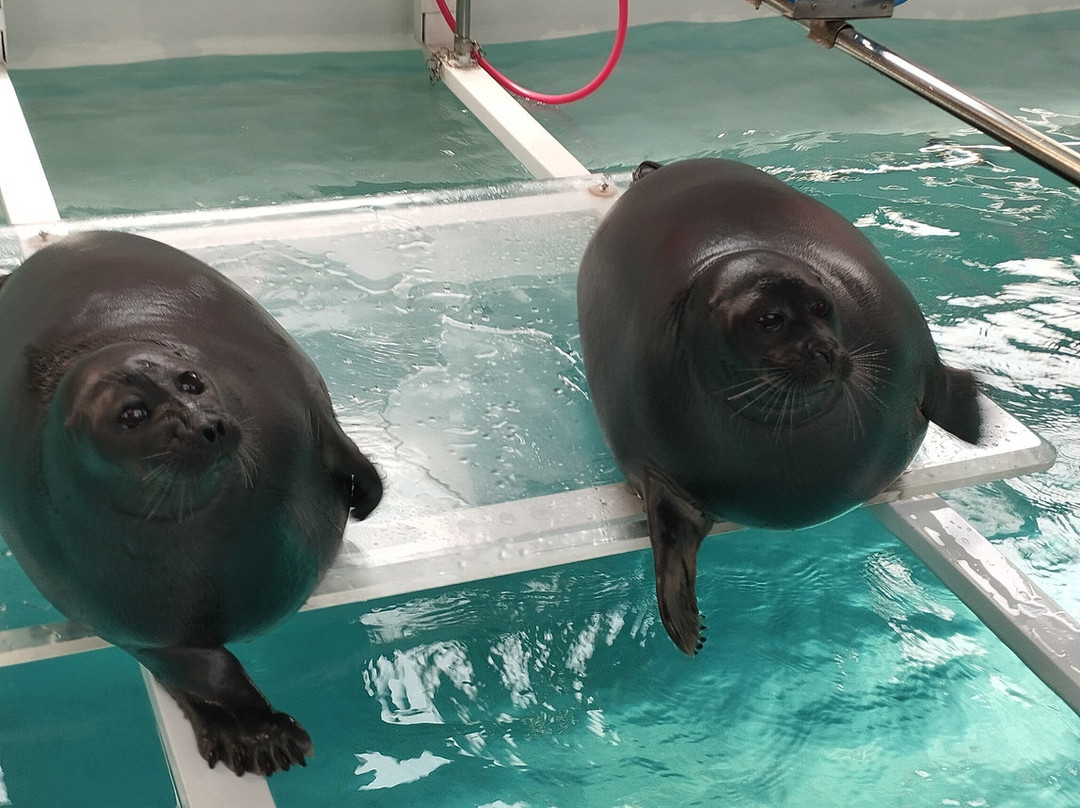 Nerpinary水族馆-利斯特维扬卡必去景点