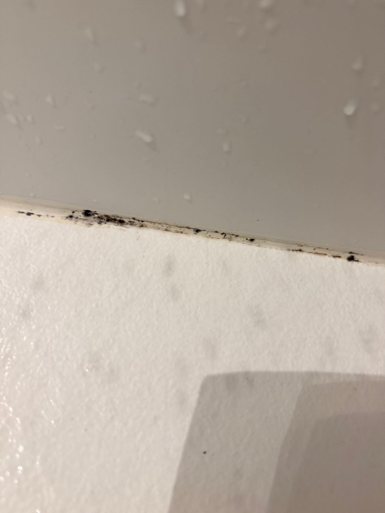 喜悦皮内达斯普拉西酒店-浴室