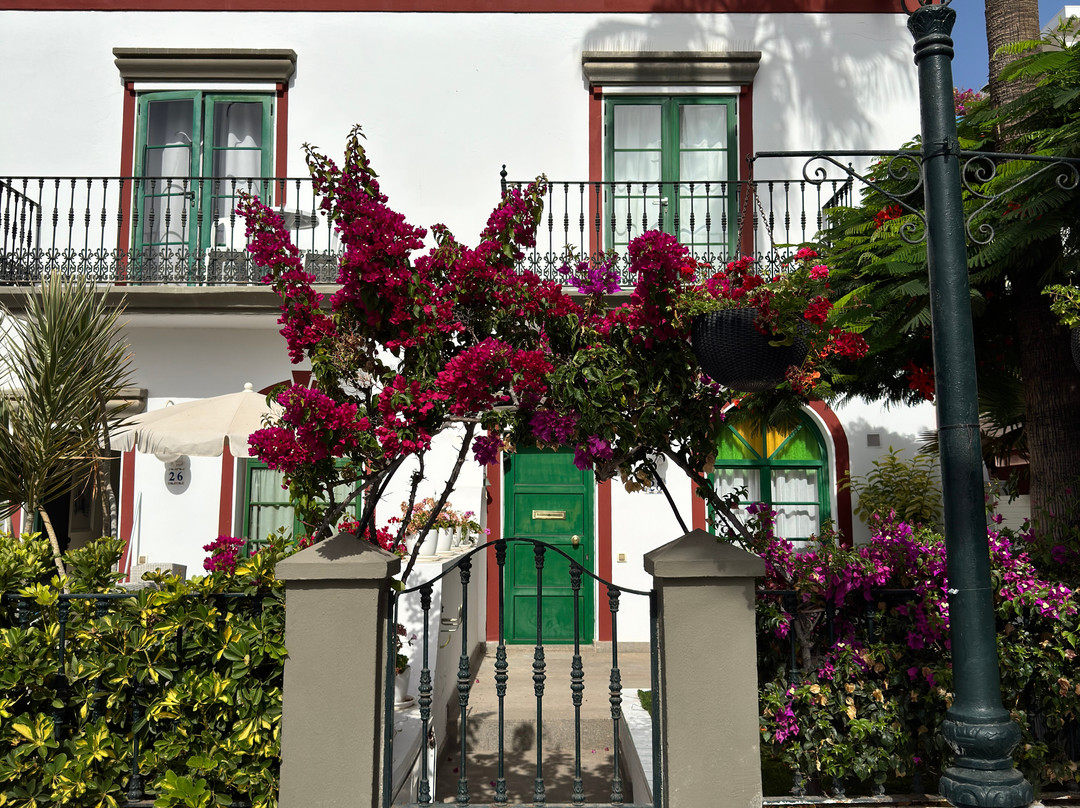 Puerto De Mogán-莫干港必去景点