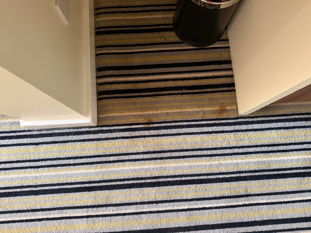 约克假日酒店主图