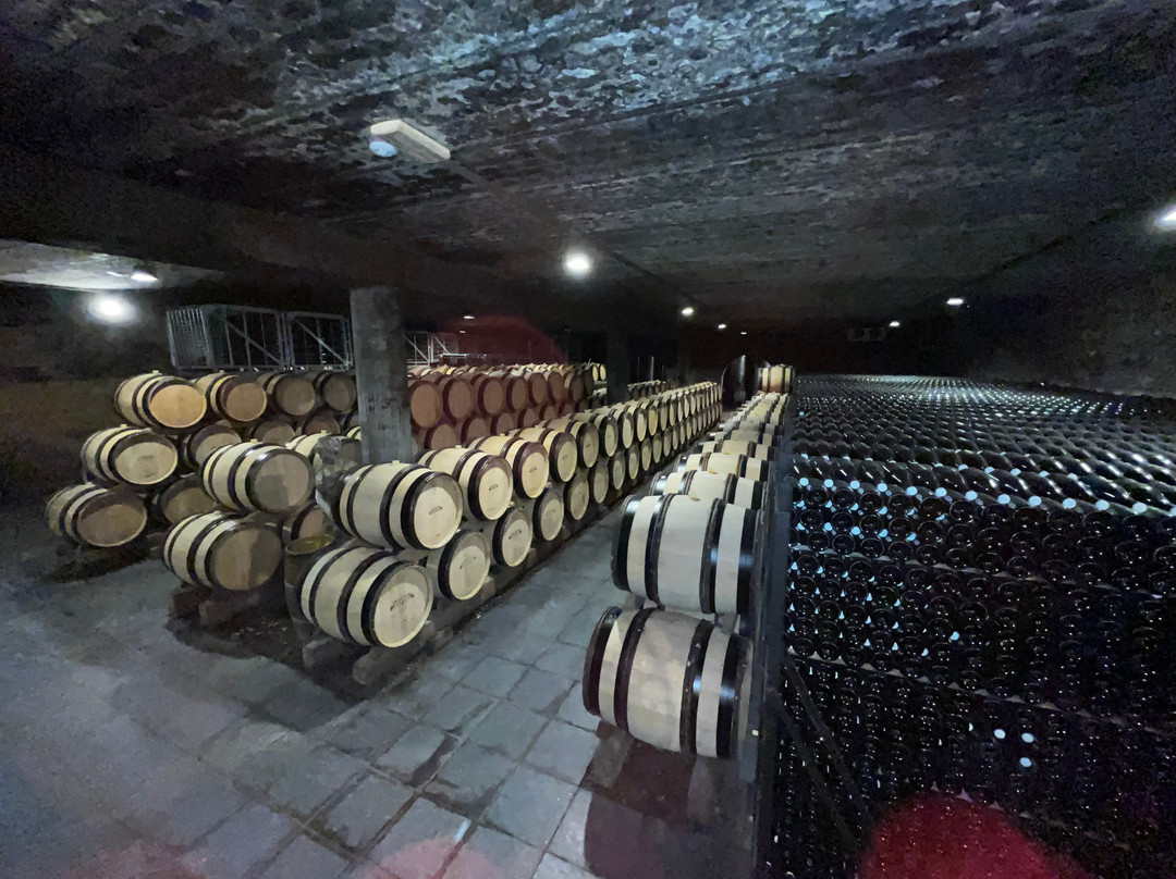 Genoels-Elderen Wine Castle-Riemst必去景点