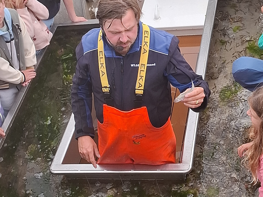 Expeditie Waddenzee-Ballum必去景点