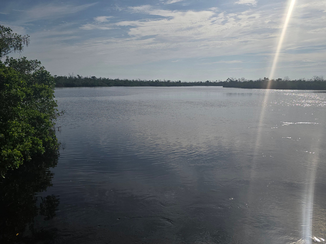 J.N. "Ding" Darling National Wildlife Refuge-萨尼贝尔岛必去景点
