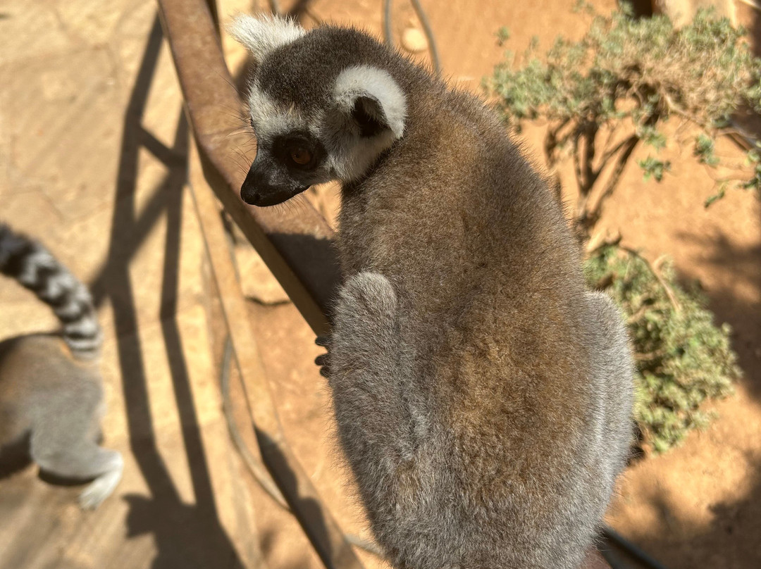 Pafos Zoo-帕福斯必去景点