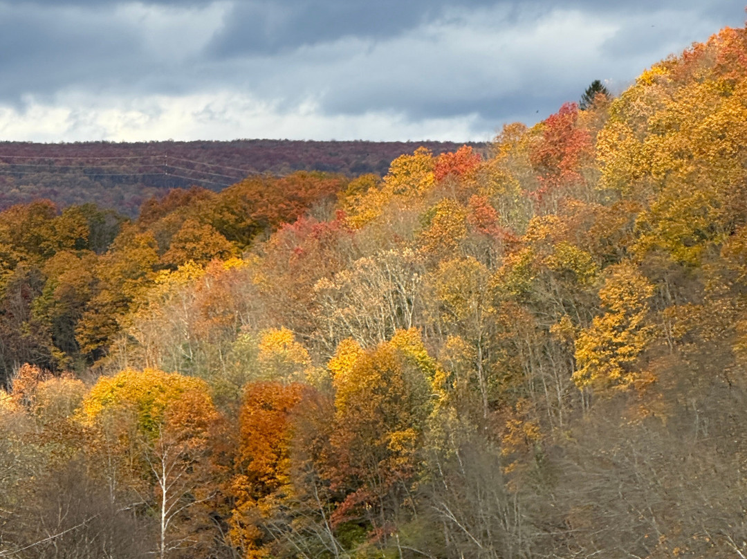 Lehigh Gorge Scenic Railway-吉姆索普必去景点