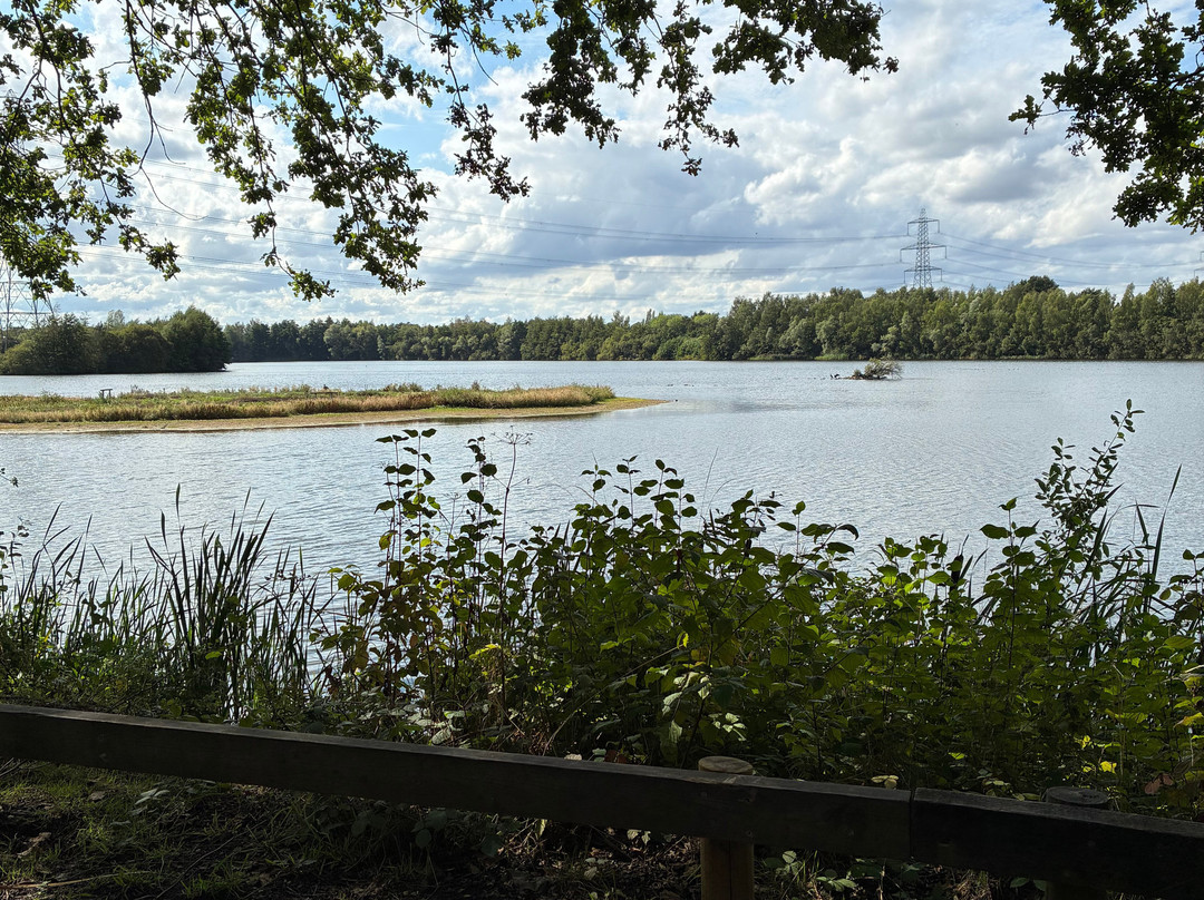 The Natural World Centre, Whisby-林肯必去景点