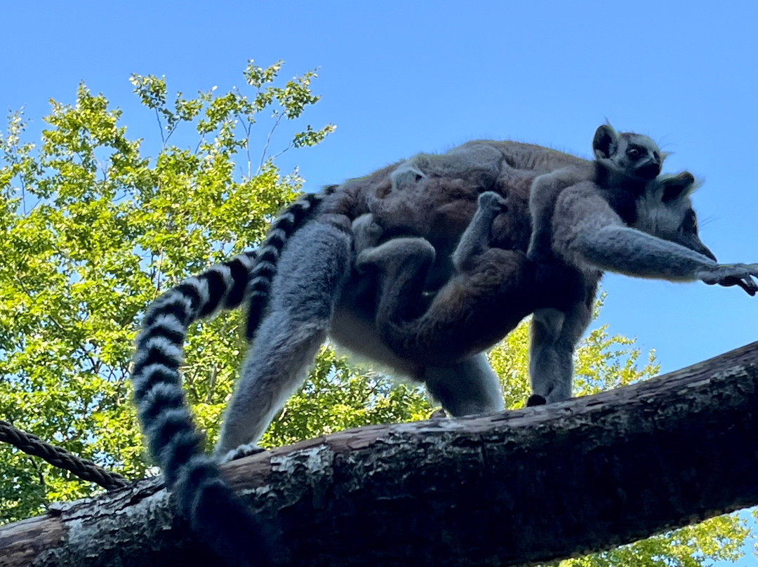 Aalborg Zoologiske Have-奥尔堡必去景点
