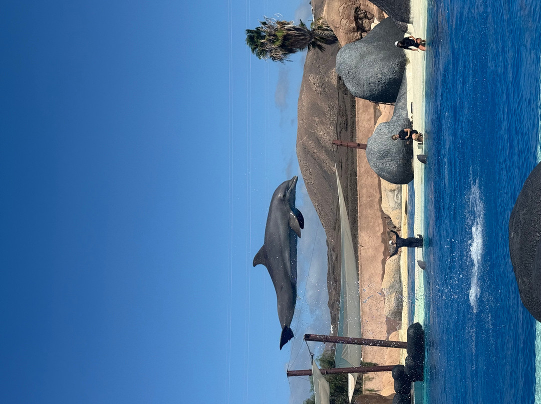 Rancho Texas Lanzarote Park-卡门港必去景点