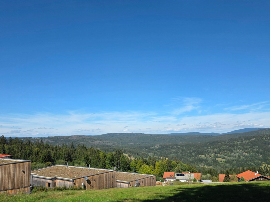 Hunderesort Waldeck - 4 Sterne Urlaub Mit Hund主图
