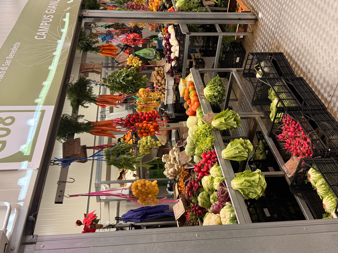 Mercato San Benedetto-卡利亚里省必去景点