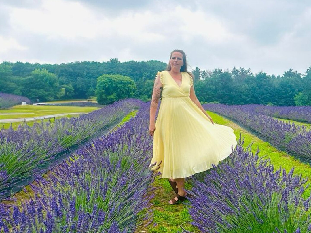 Lavender Valley Farm-Cookstown必去景点