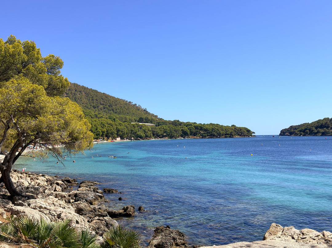 Playa de Formentor-Formentor必去景点