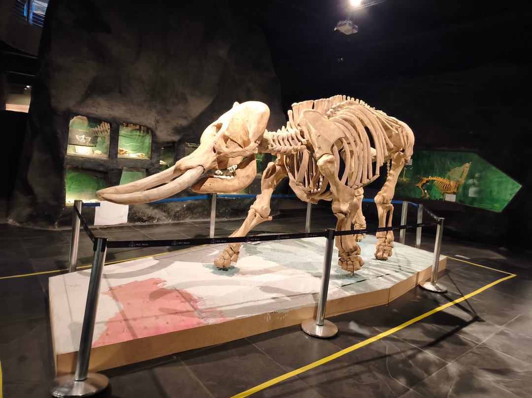 Museu de Ciências Naturais PUC Minas-贝洛哈里桑塔必去景点