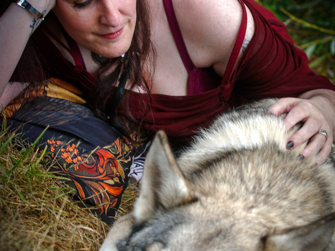 Watermill Wolves Wolf-dog Actors-Bexhill-on-Sea必去景点