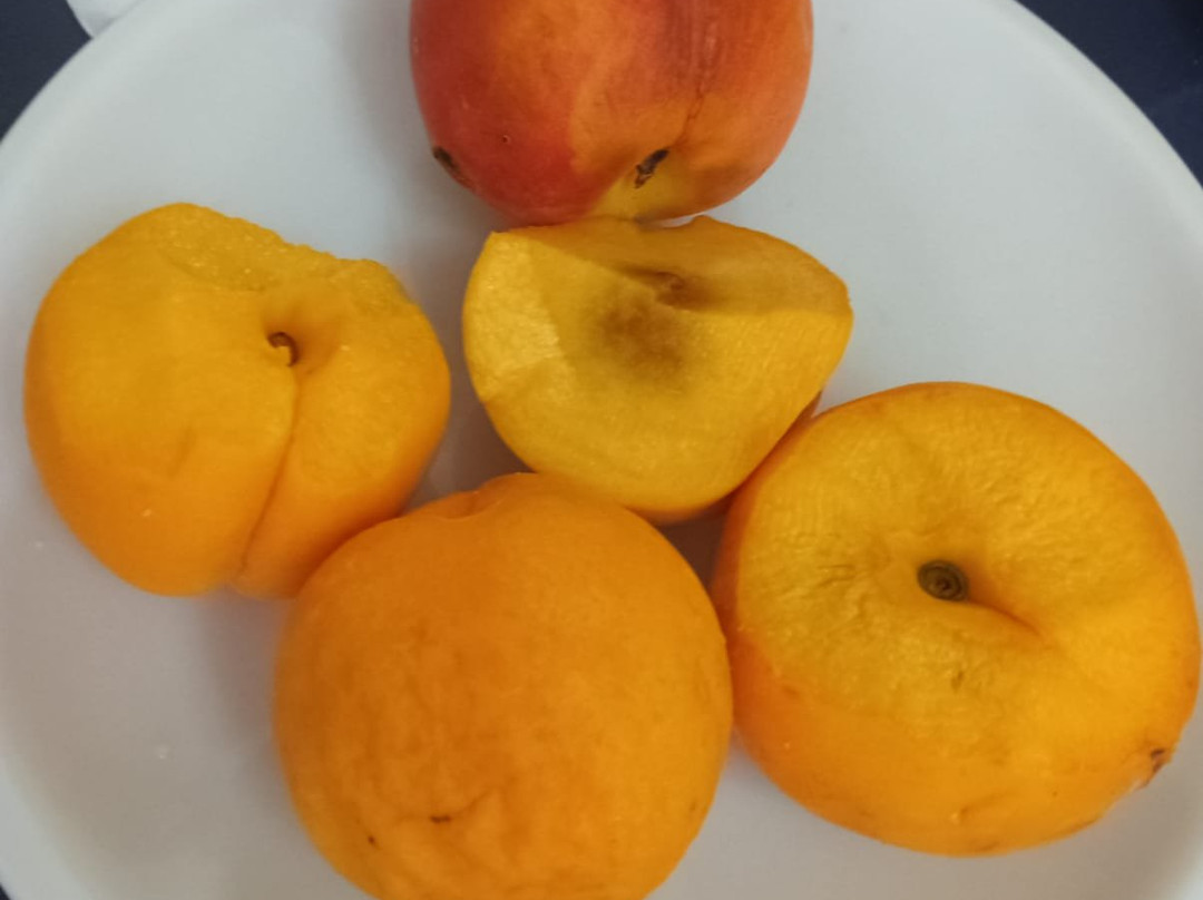 埃斯特拉俱乐部及美容中心主图