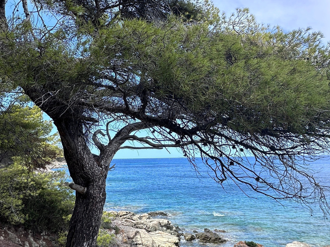 Saleccia Off Road-Saint Florent必去景点