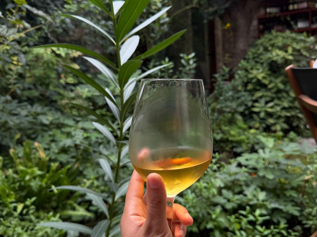 Wine Garden-斯克拉丁必去景点