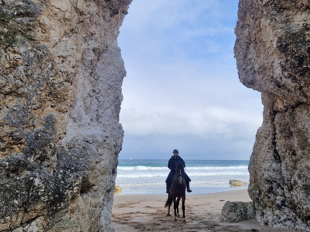 Bespoke Equestrian Ireland-都柏林必去景点