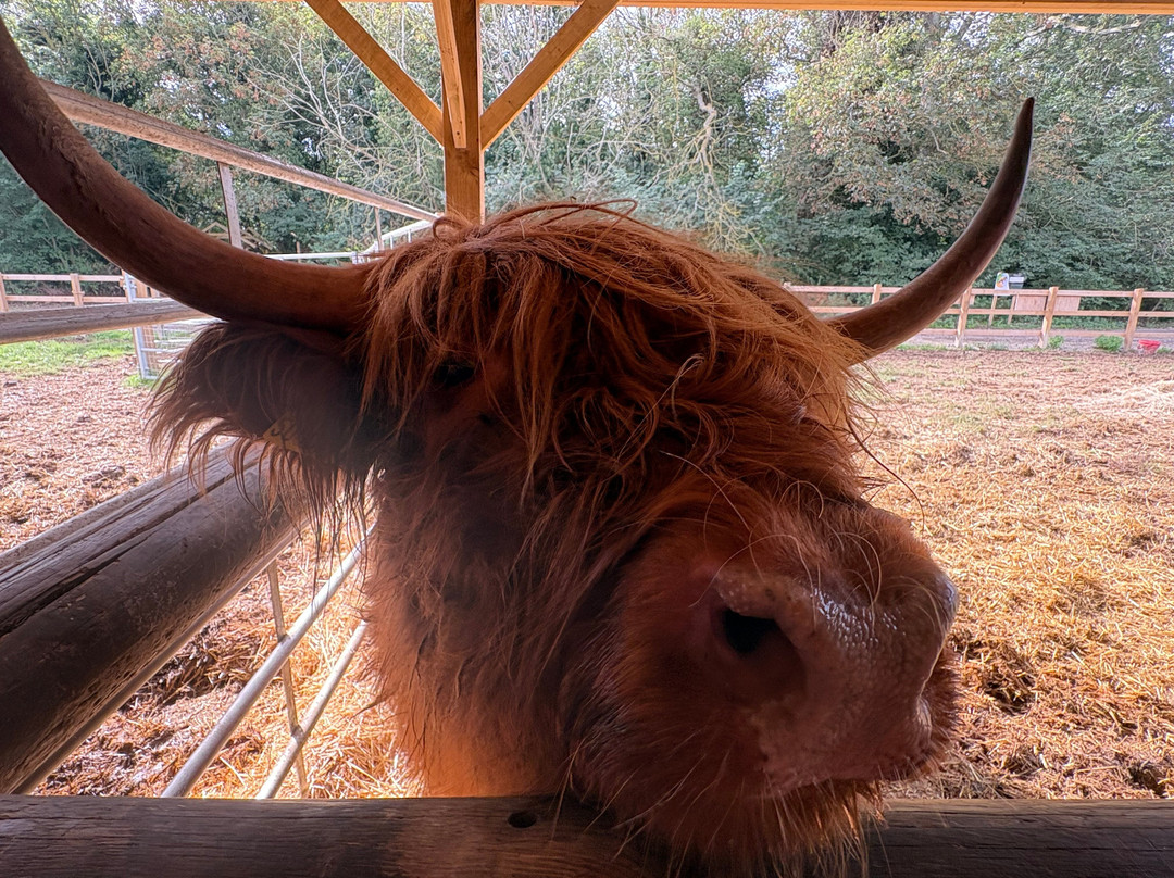 Quex Adventure Farm Park-Birchington必去景点