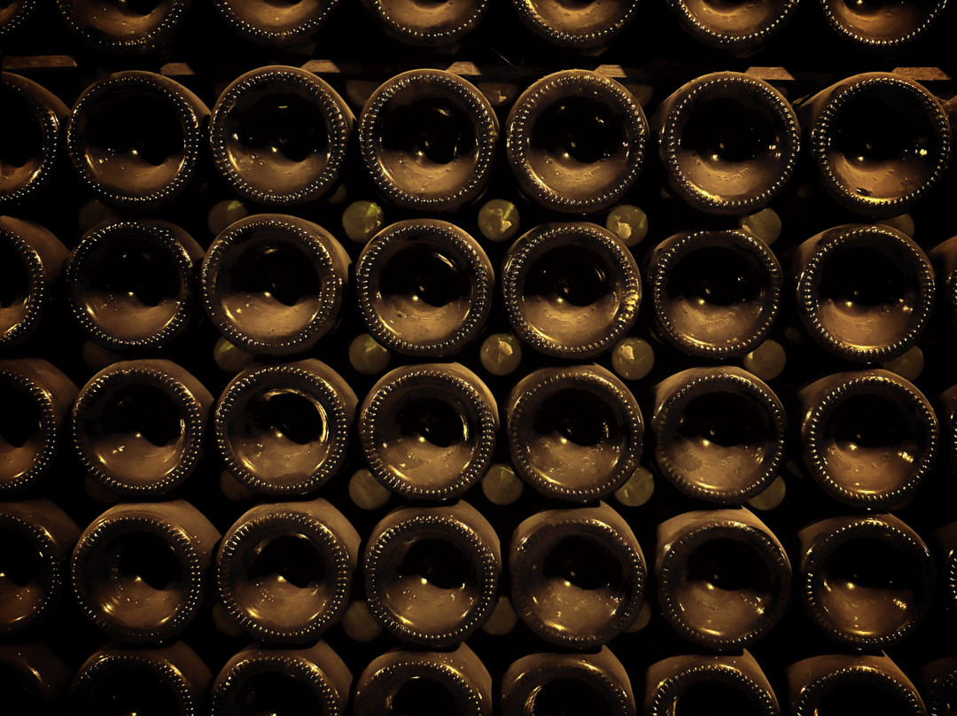 Champagne Gardet-Chigny les Roses必去景点