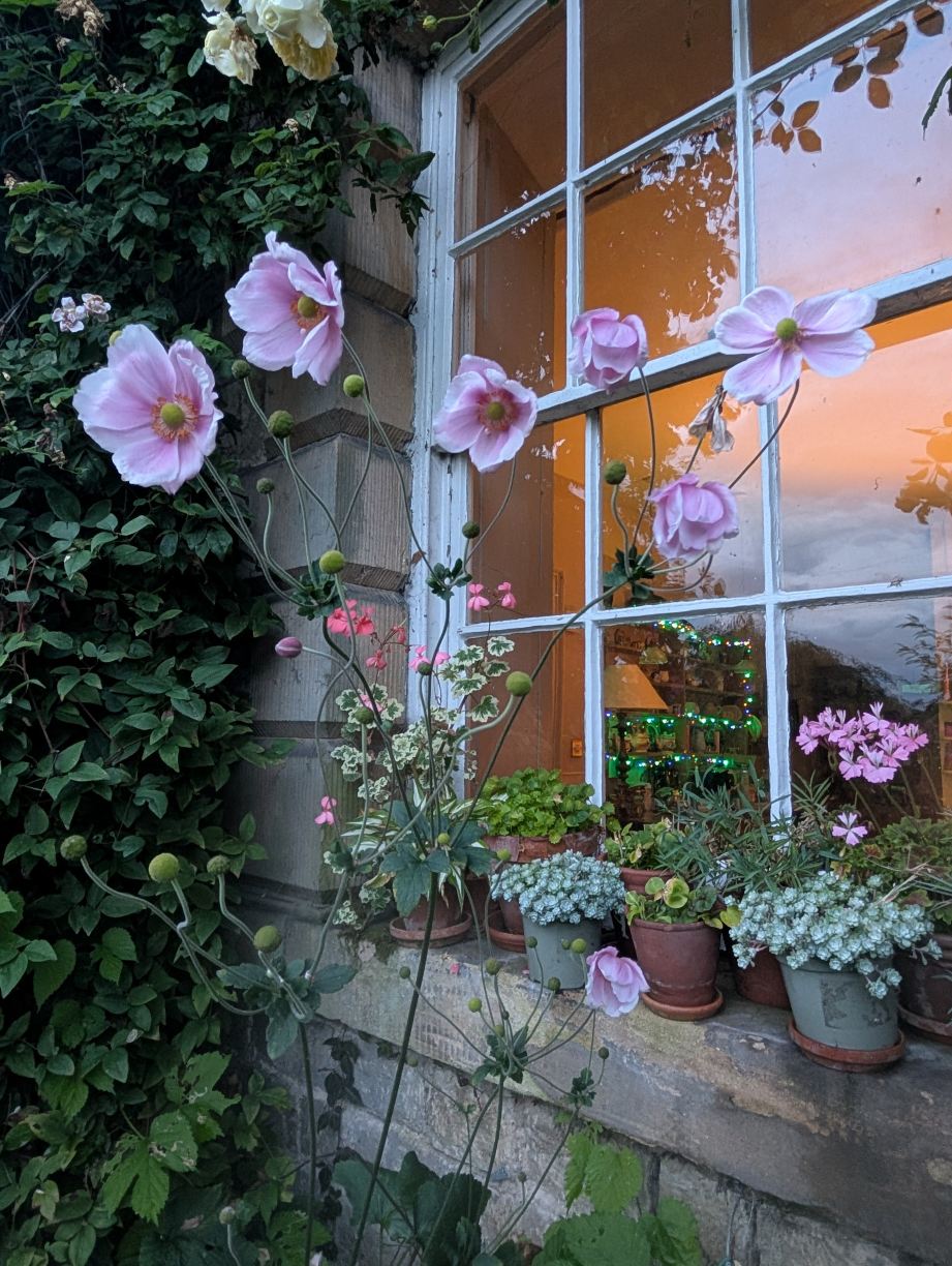 Millgate House-旅行者