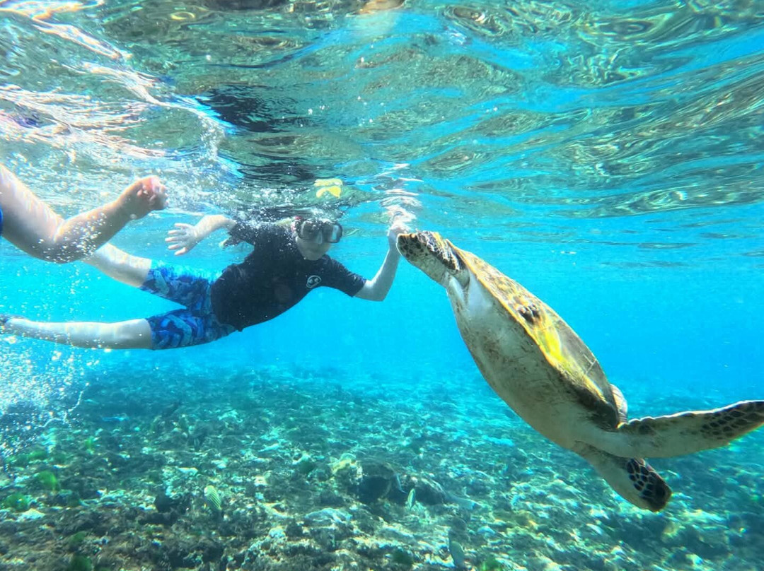 Lembongan Go Trip-克隆孔必去景点