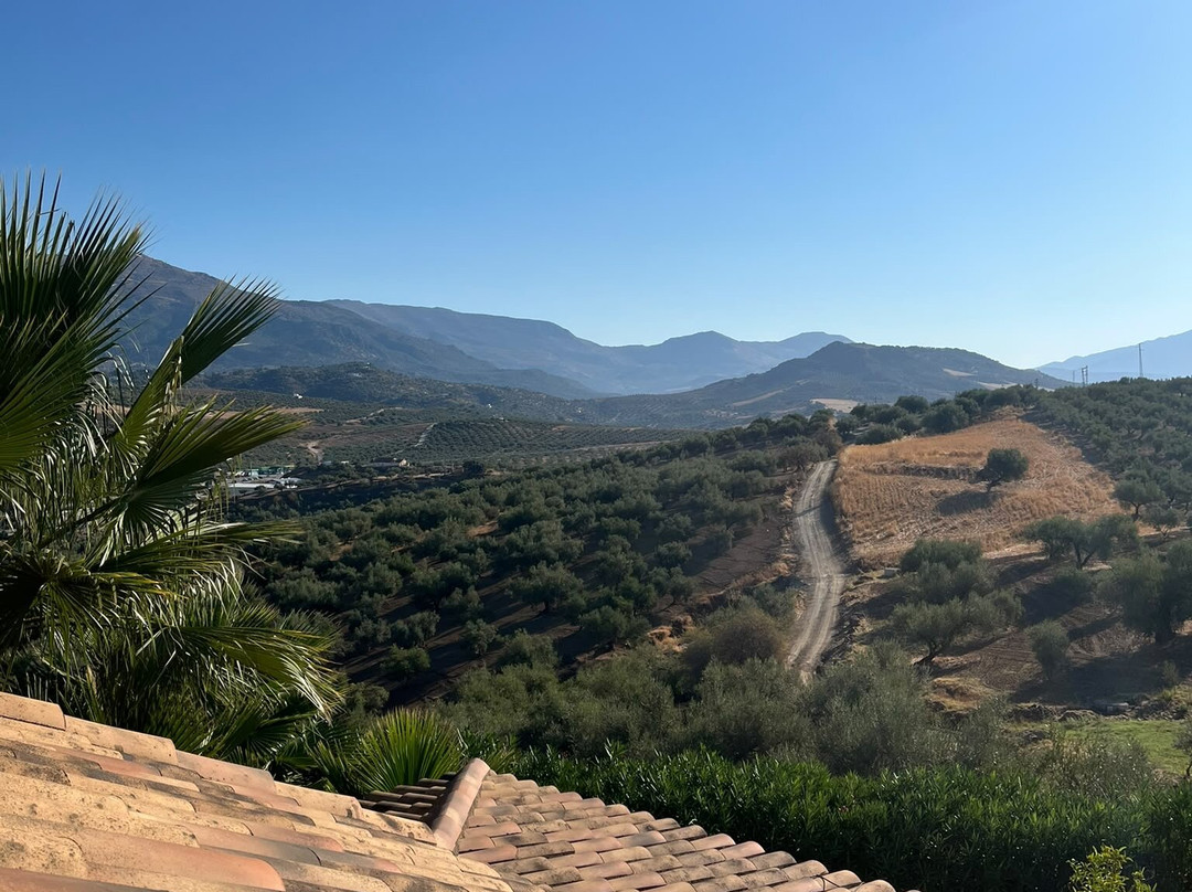 B&b Hacienda Riogordo主图