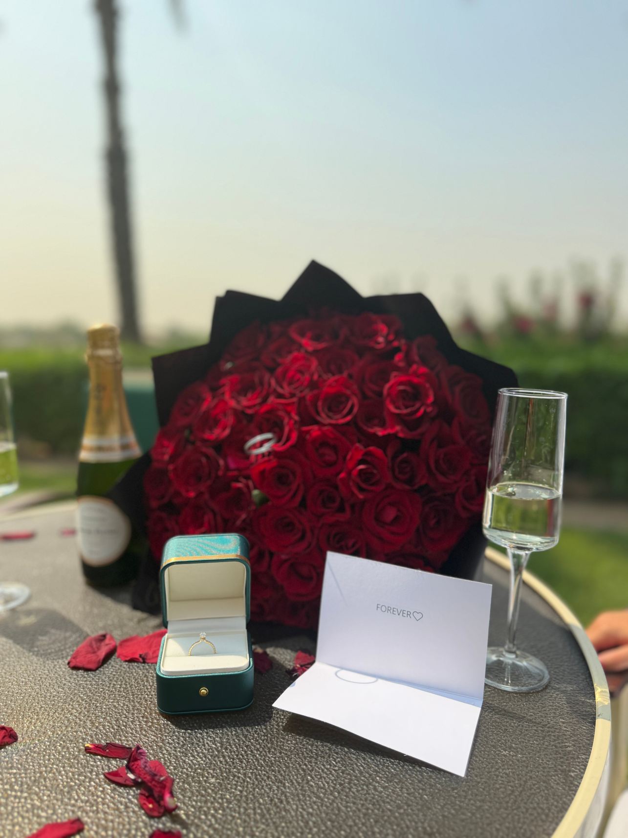 美利亚Meliá Collection沙漠棕榈-旅行者
