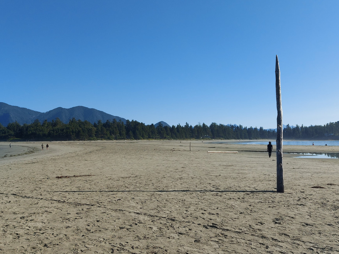 Chesterman Beach-托菲诺必去景点