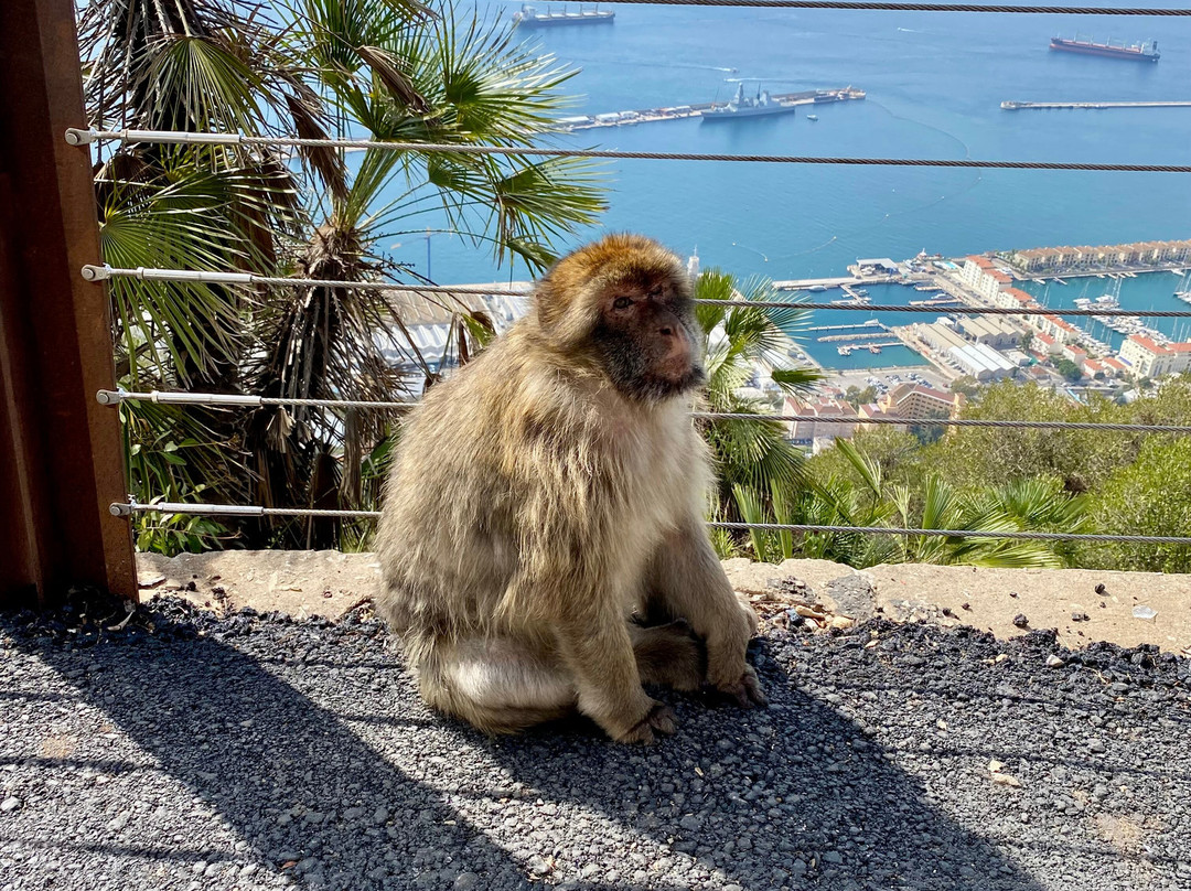 Skywalk-Gibraltar Town必去景点