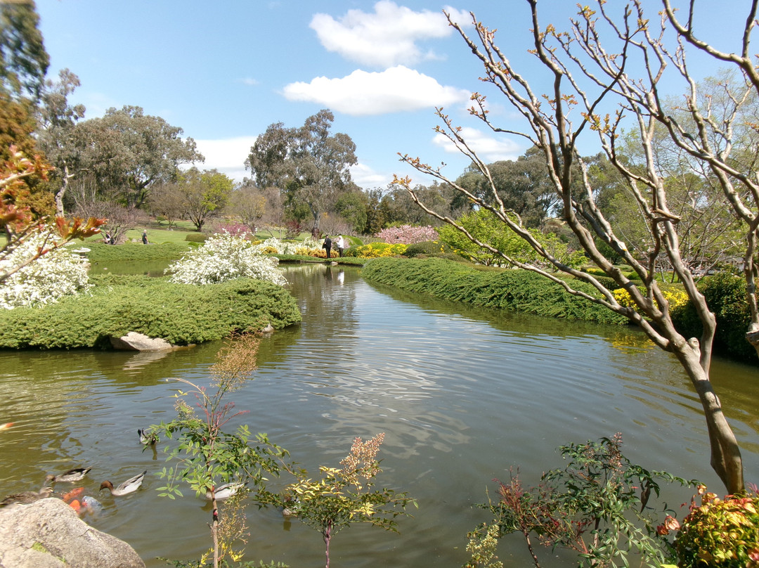 Cowra Japanese Garden & Cultural Centre-考兰必去景点
