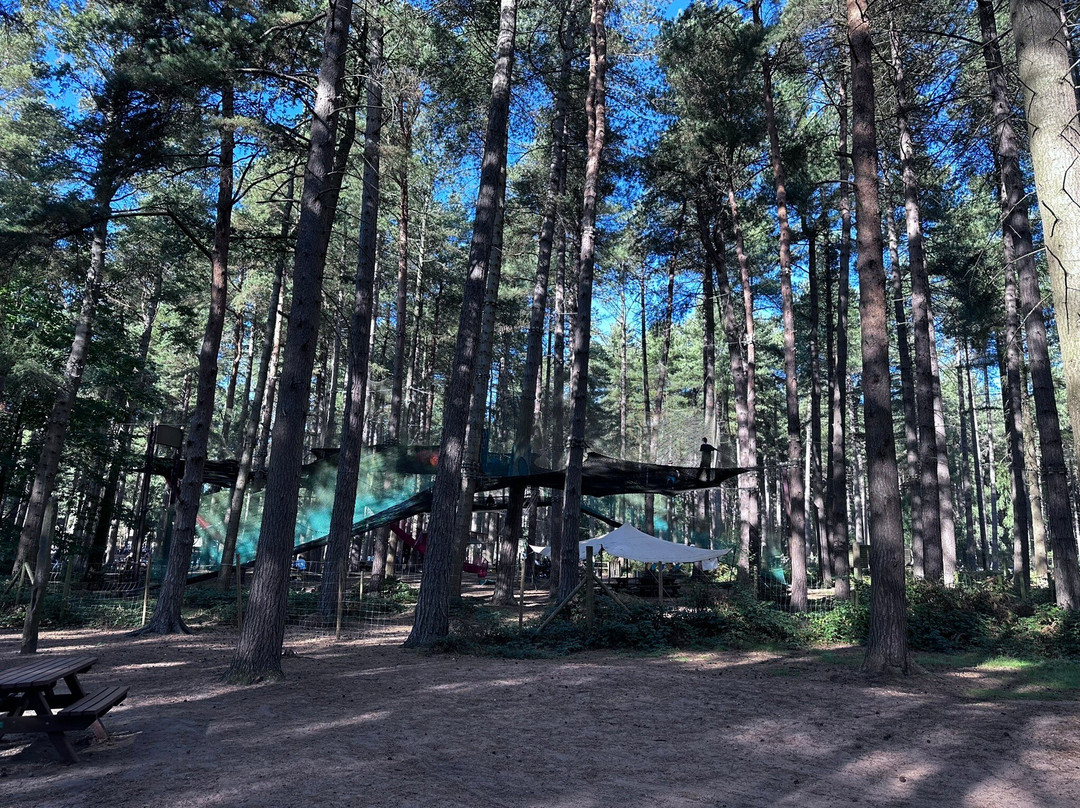 Sherwood Pines Campsite