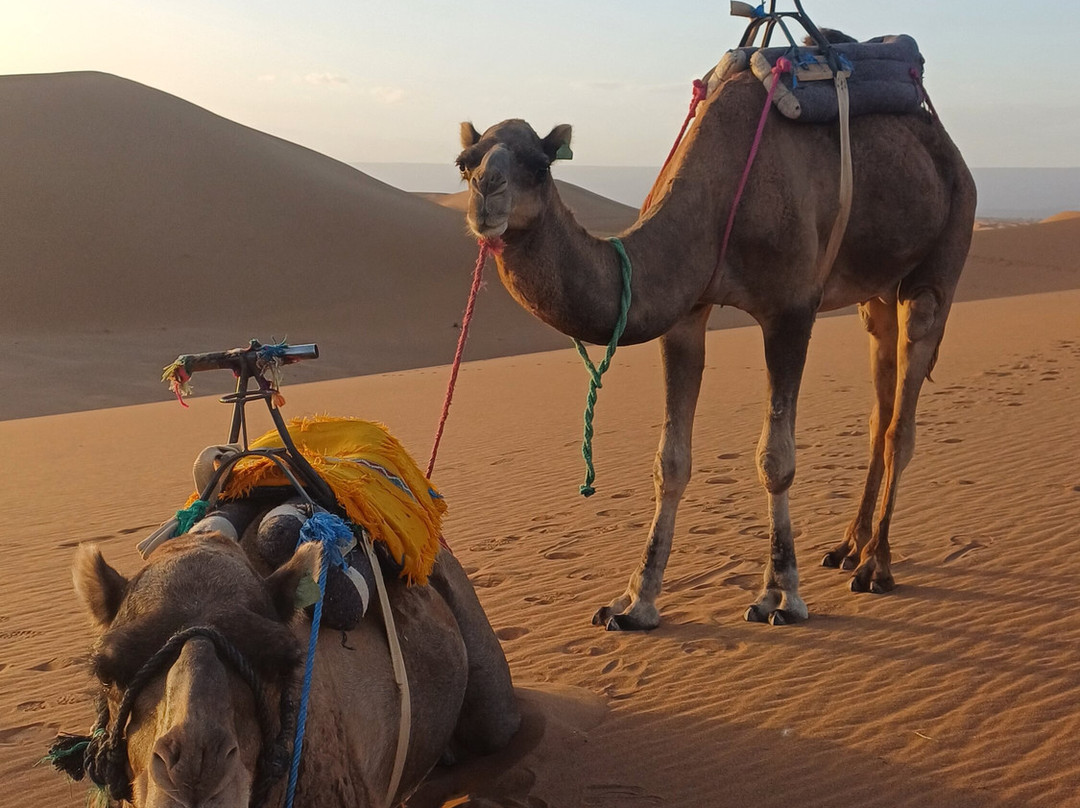 Prime Morocco Tours-非斯必去景点