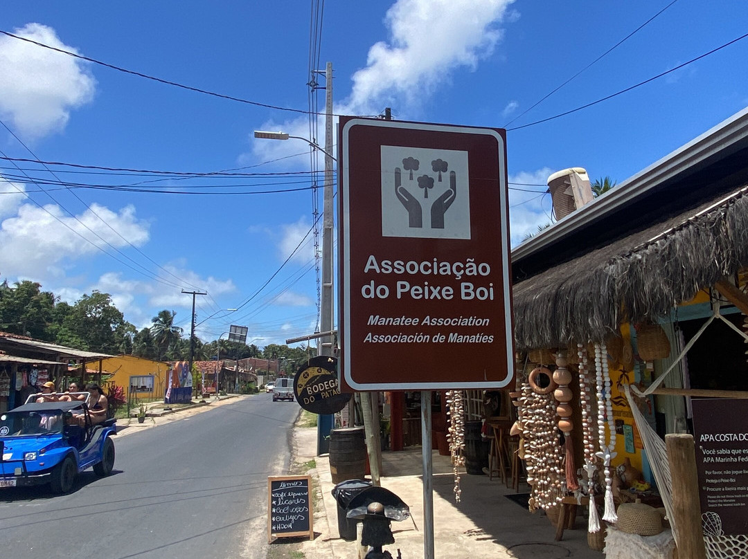 Associacao Peixe-Boi-Porto de Pedras必去景点
