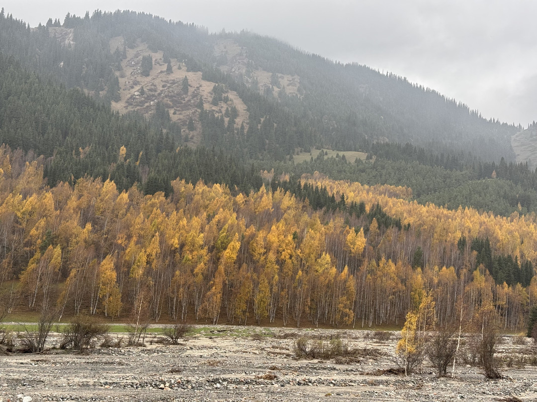 Kyrgyz Nature Travel Company-Kochkor必去景点