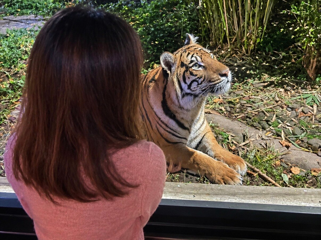 Safari Lodges At West Midlands Safari Park主图