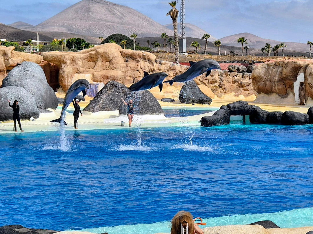 Rancho Texas Lanzarote Park-卡门港必去景点