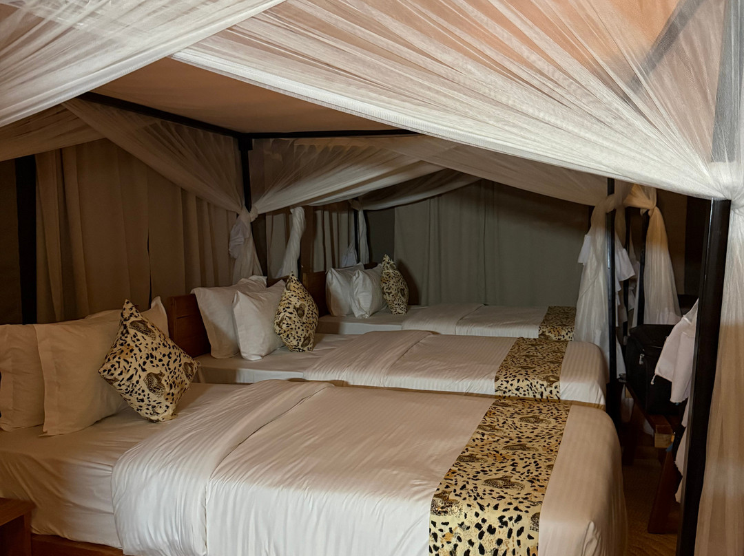 Sightseeing Luxury Tented Lodge