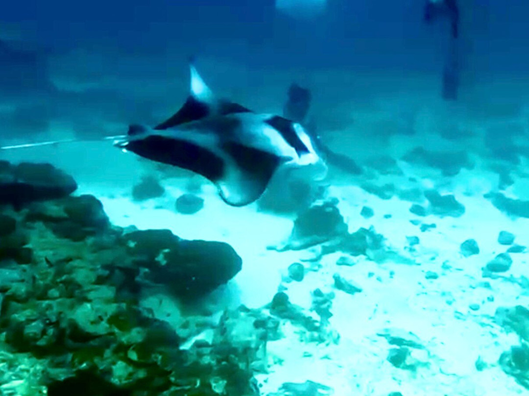 Himmafushi Scuba Adventure-Himmafushi Island必去景点