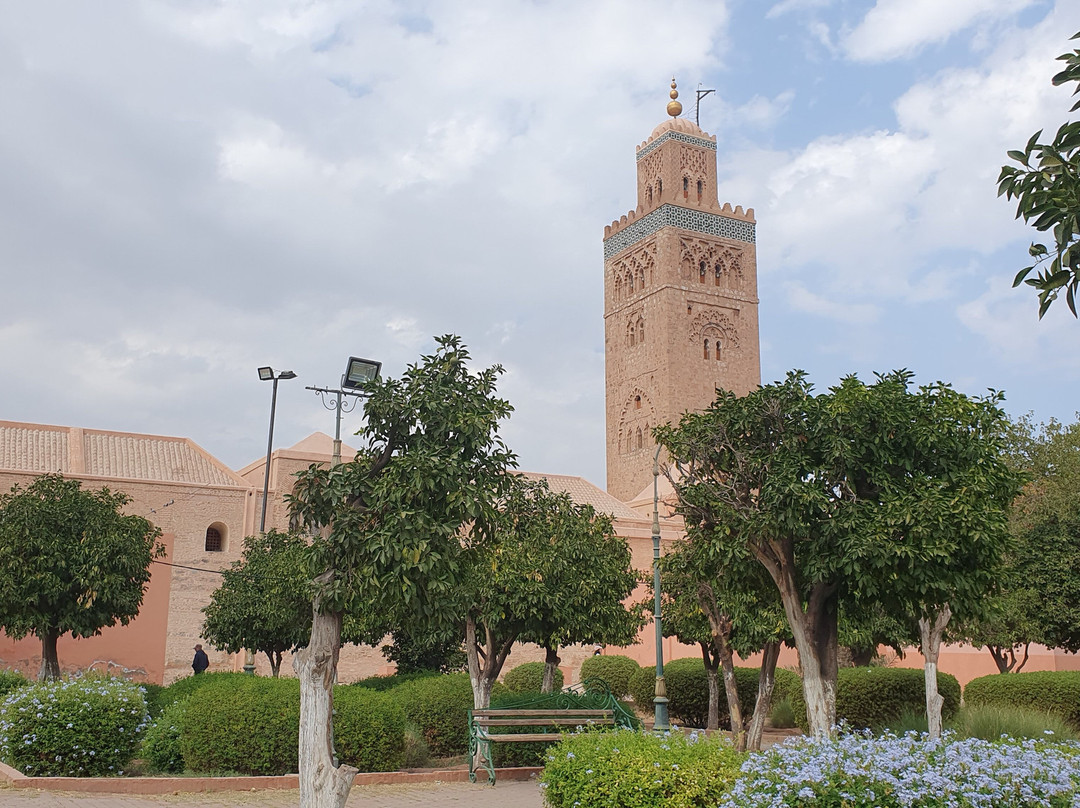 Riad Tarzout主图