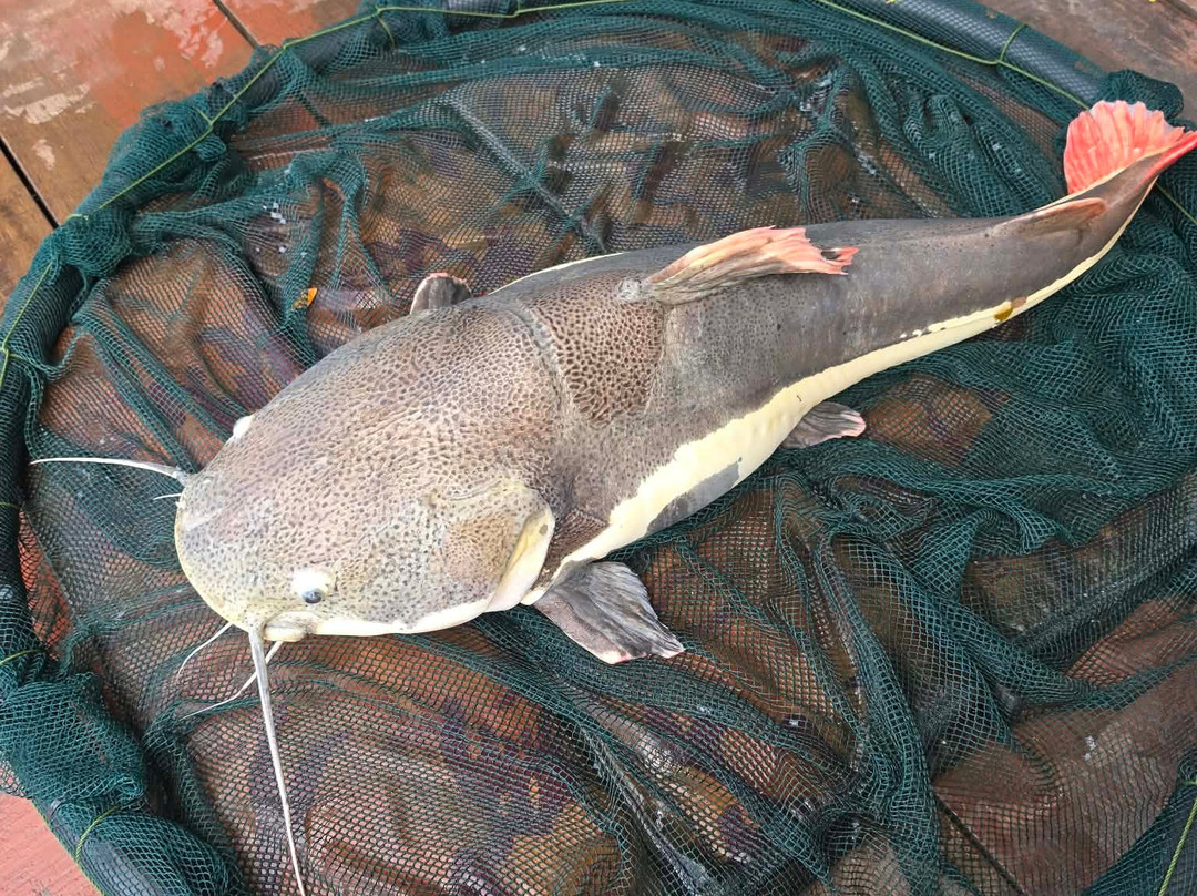 Monster Fishing Park-拉威必去景点