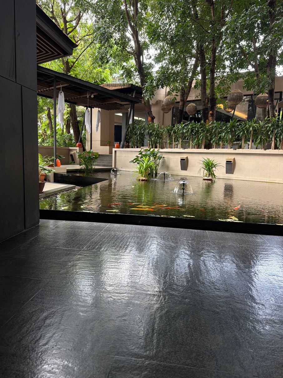 普吉岛卡塔阿维斯塔诺富特酒店度假村-旅行者