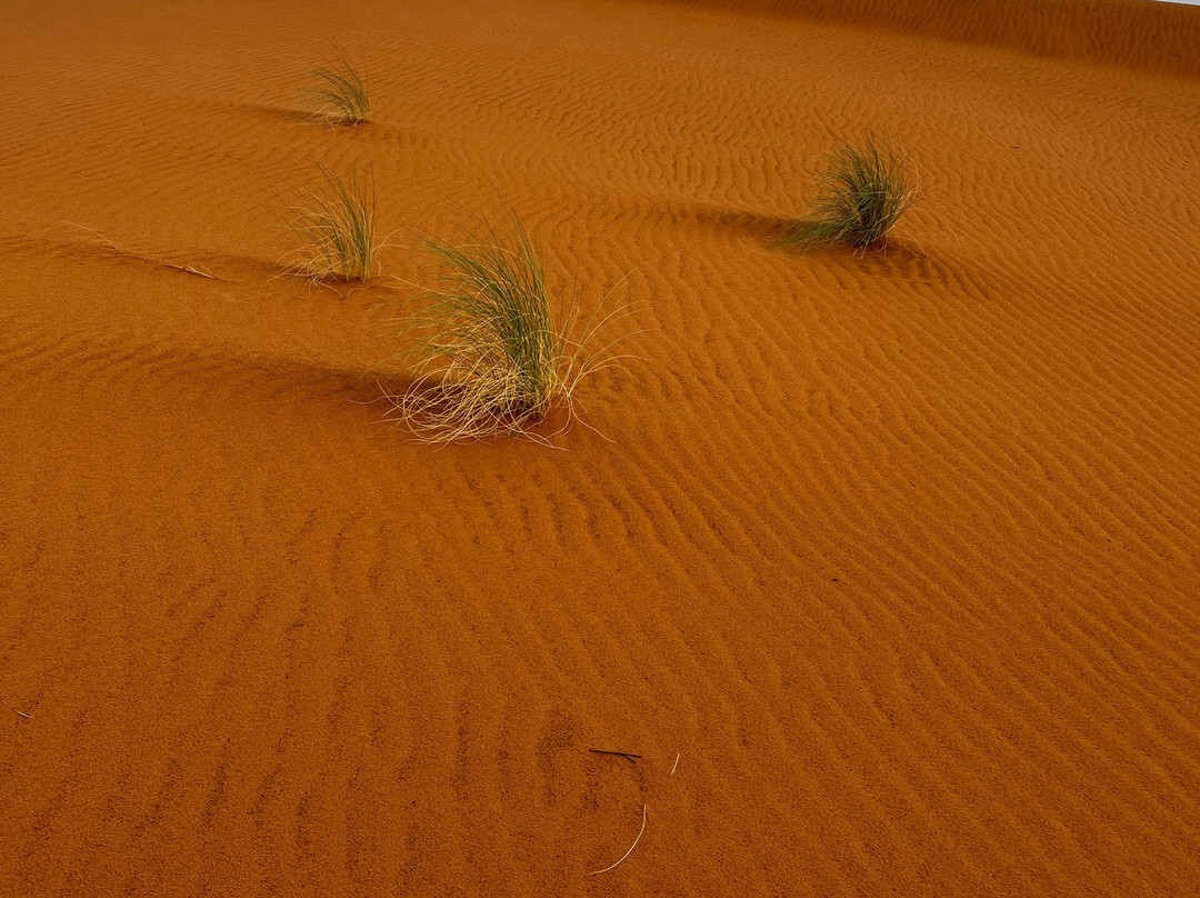 Morocco Easy Tours - Morocco Tours-马拉喀什必去景点