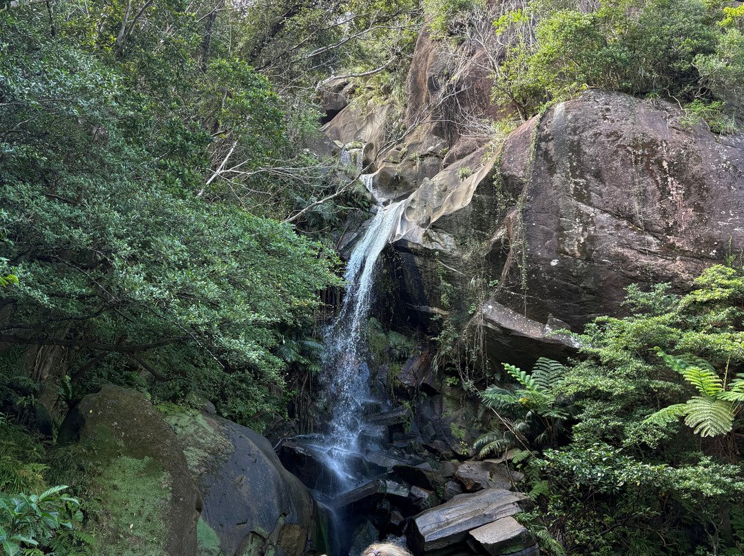 Todoroki Falls-名护市必去景点
